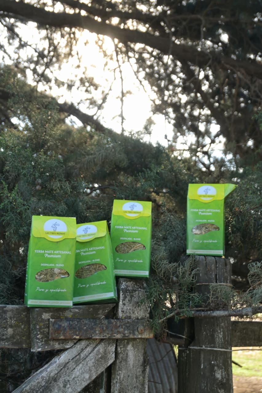 Yerba coco - anana - jamaica 400 gr